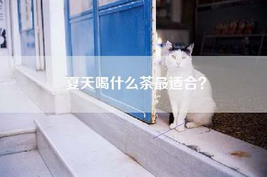 夏天喝什么茶最适合？