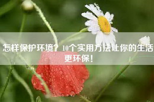 怎样保护环境？10个实用方法让你的生活更环保！