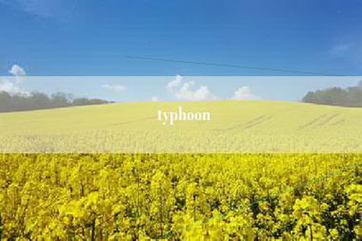 typhoon