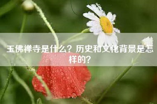 玉佛禅寺是什么？历史和文化背景是怎样的？