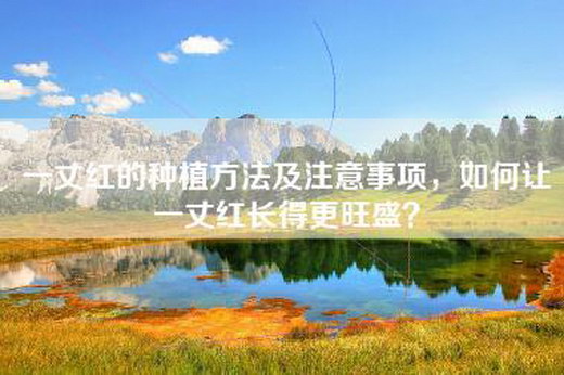 一丈红的种植方法及注意事项，如何让一丈红长得更旺盛？