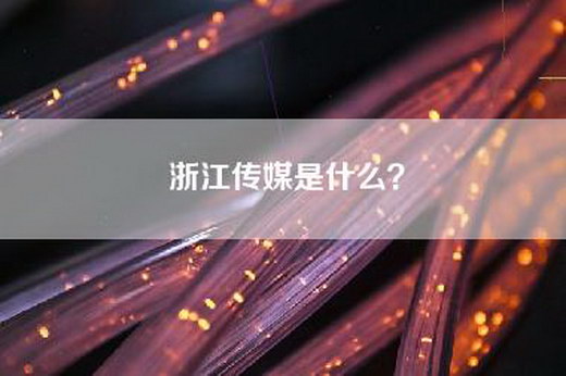 浙江传媒是什么？