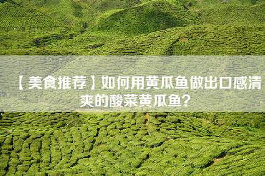 【美食推荐】如何用黄瓜鱼做出口感清爽的酸菜黄瓜鱼？