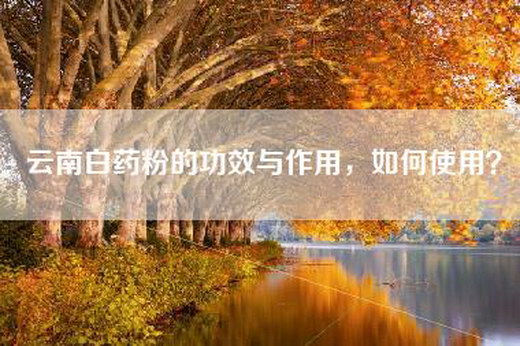 云南白药粉的功效与作用，如何使用？