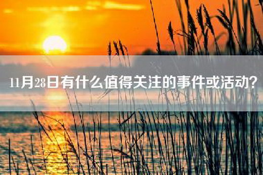 11月28日有什么值得关注的事件或活动？