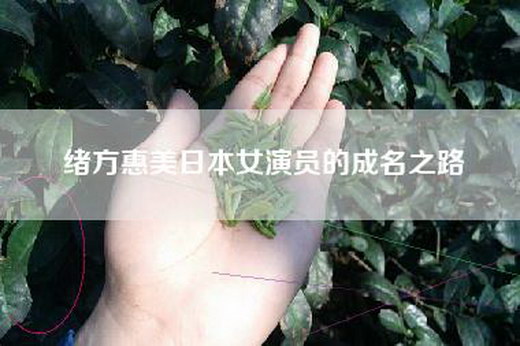 绪方惠美日本女演员的成名之路