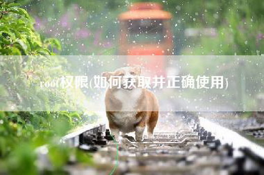 root权限(如何获取并正确使用)