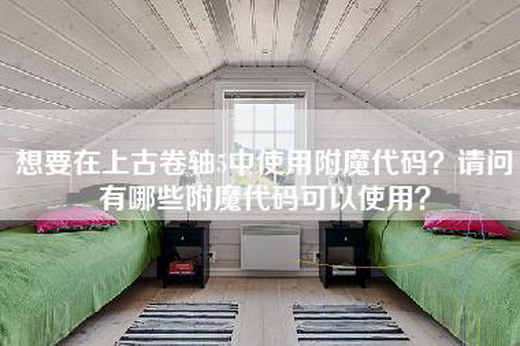 想要在上古卷轴5中使用附魔代码？请问有哪些附魔代码可以使用？