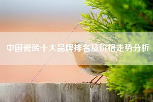 中国瓷砖十大品牌排名及价格走势分析