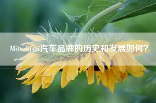 Mitsubishi汽车品牌的历史和发展如何？