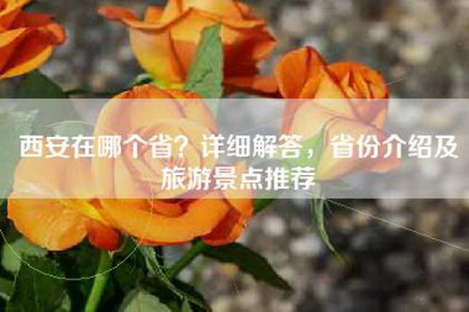 西安在哪个省？详细解答，省份介绍及旅游景点推荐