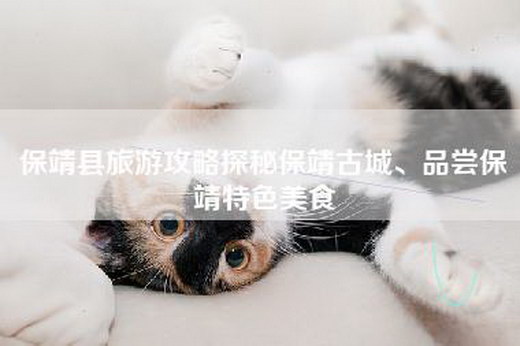 保靖县旅游攻略探秘保靖古城、品尝保靖特色美食