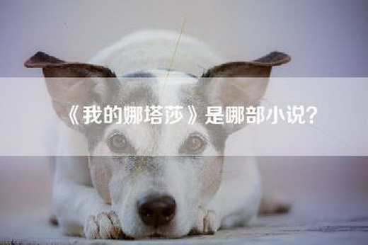 《我的娜塔莎》是哪部小说？