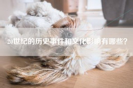 20世纪的历史事件和文化影响有哪些？
