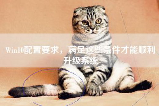 Win10配置要求，满足这些条件才能顺利升级系统