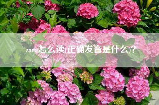 zara怎么读(正确发音是什么)？