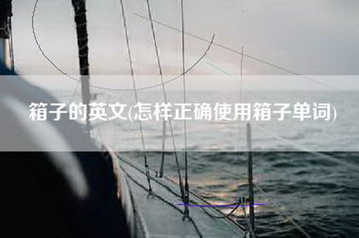箱子的英文(怎样正确使用箱子单词)