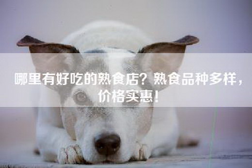 哪里有好吃的熟食店？熟食品种多样，价格实惠！