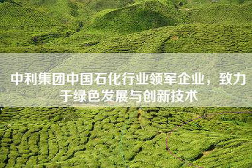 中利集团中国石化行业领军企业，致力于绿色发展与创新技术