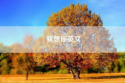我想你英文