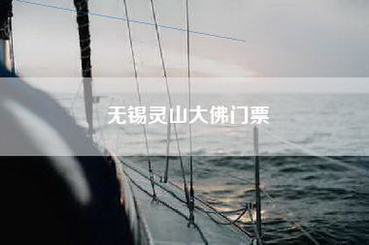 无锡灵山大佛门票