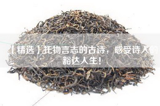 【精选】托物言志的古诗，感受诗人的豁达人生！