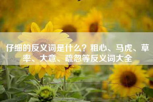 仔细的反义词是什么？粗心、马虎、草率、大意、疏忽等反义词大全