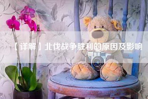 【详解】北伐战争胜利的原因及影响