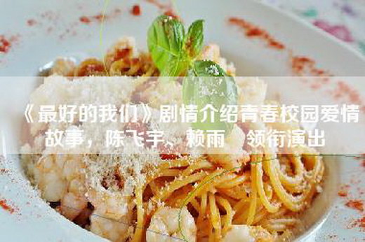 《最好的我们》剧情介绍青春校园爱情故事，陈飞宇、赖雨濛领衔演出