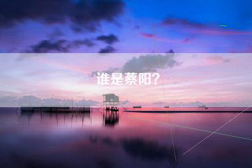 谁是蔡阳？