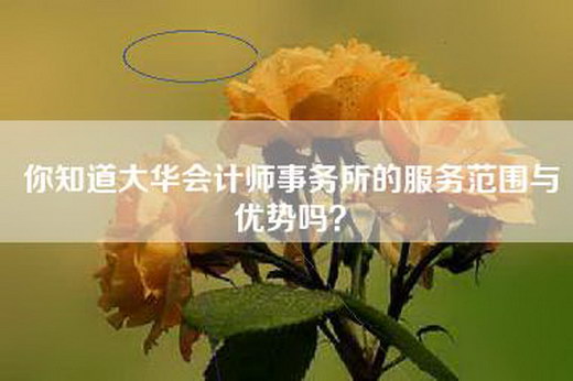 你知道大华会计师事务所的服务范围与优势吗？
