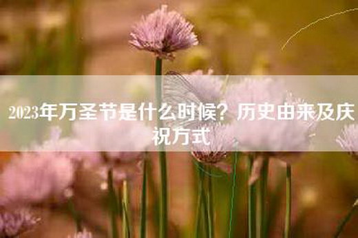 2023年万圣节是什么时候？历史由来及庆祝方式