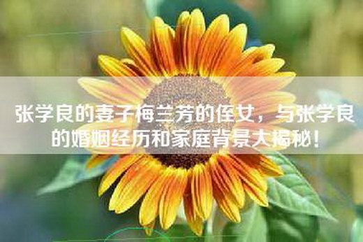 张学良的妻子梅兰芳的侄女，与张学良的婚姻经历和家庭背景大揭秘！