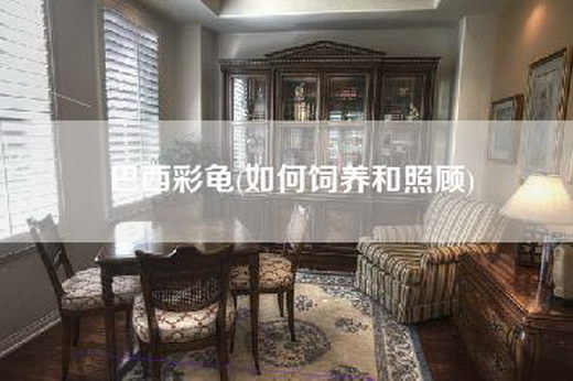 巴西彩龟(如何饲养和照顾)