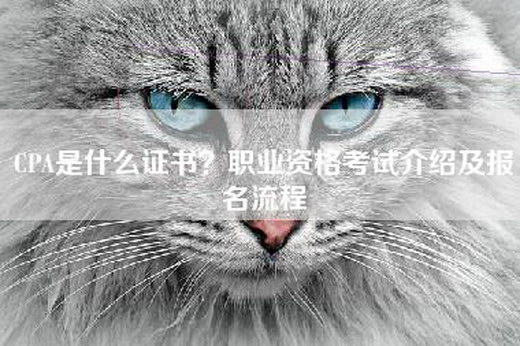 CPA是什么证书？职业资格考试介绍及报名流程