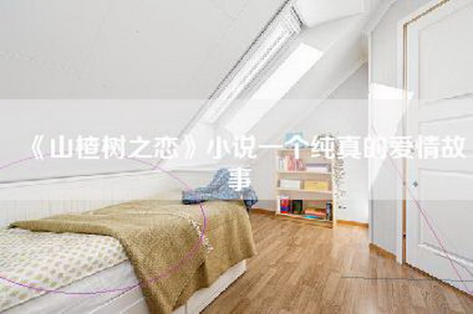 《山楂树之恋》小说一个纯真的爱情故事