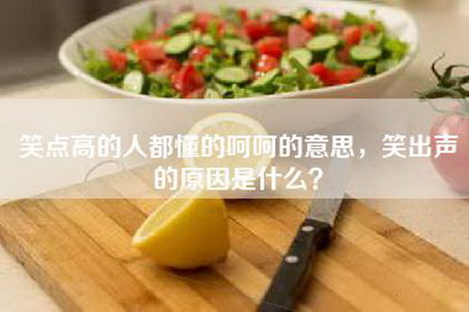 笑点高的人都懂的呵呵的意思，笑出声的原因是什么？