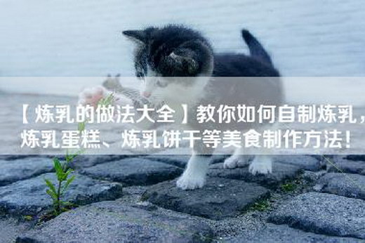 【炼乳的做法大全】教你如何自制炼乳，炼乳蛋糕、炼乳饼干等美食制作方法！