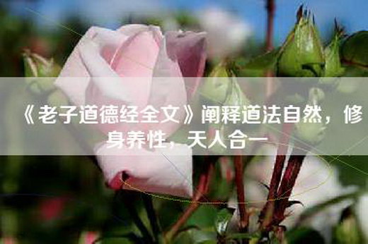《老子道德经全文》阐释道法自然，修身养性，天人合一