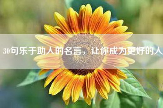 30句乐于助人的名言，让你成为更好的人