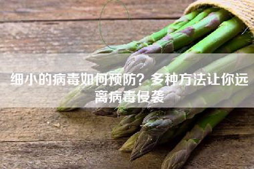 细小的病毒如何预防？多种方法让你远离病毒侵袭