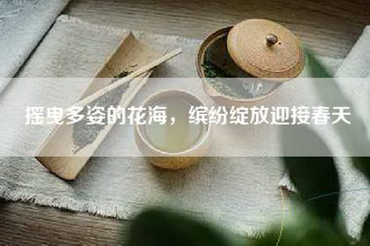 摇曳多姿的花海，缤纷绽放迎接春天