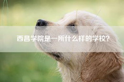 西昌学院是一所什么样的学校？