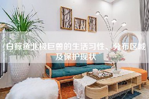 白鲸鱼北极巨兽的生活习性、分布区域及保护现状
