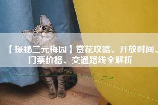 【探秘三元梅园】赏花攻略、开放时间、门票价格、交通路线全解析