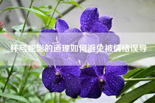 杯弓蛇影的道理如何避免被情绪误导