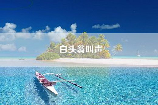 白头翁叫声