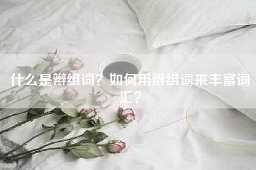 什么是辫组词？如何用辫组词来丰富词汇？