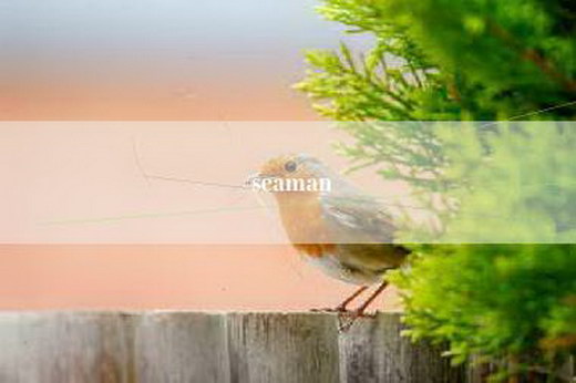 seaman