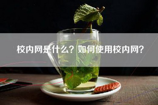 校内网是什么？如何使用校内网？